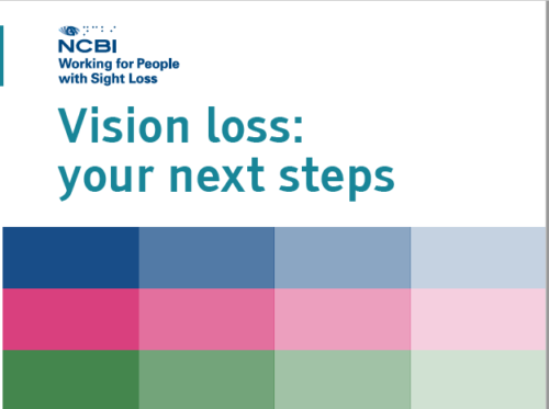 Vision loss next steps cover